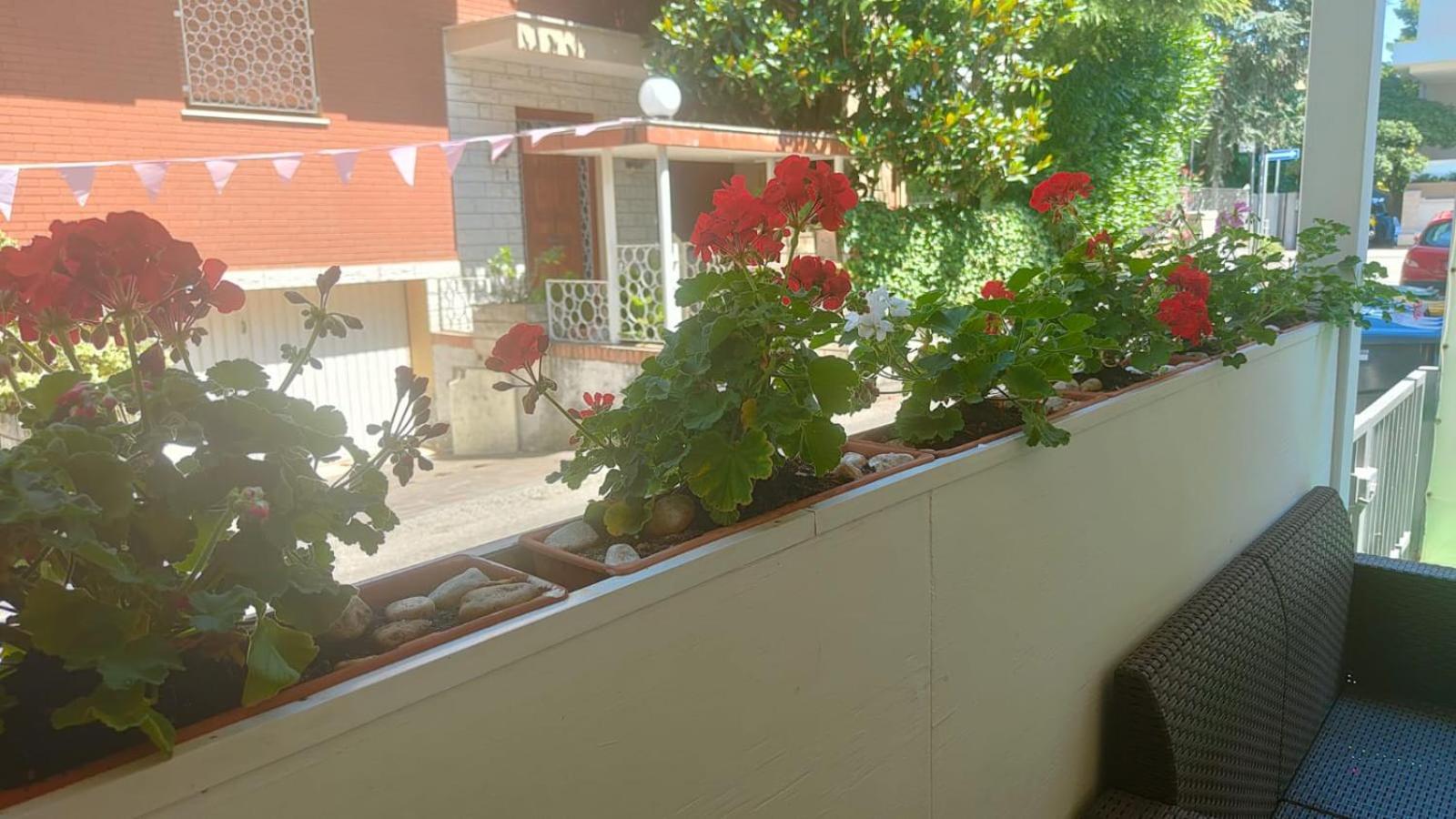 Eriale Nuova Gestione Hotel Rimini